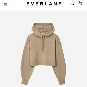 Everlane cashmere hoodie